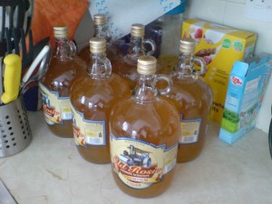 Six 2L bottles of Old Rosie scrumpy